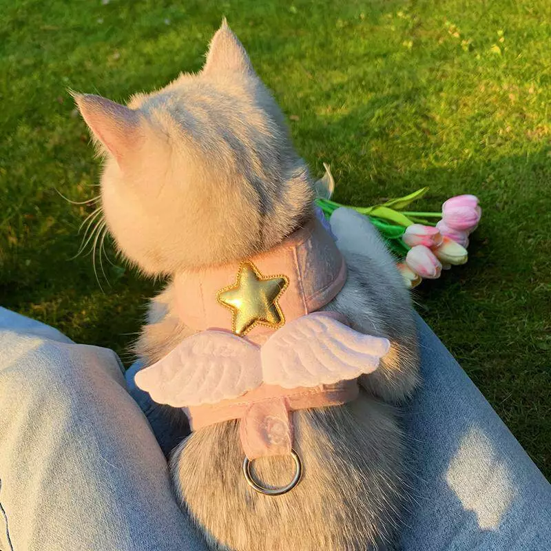 สายจูงแมวรัดอก สายจูงแมว petkit เกรดพรีเมี่ยม สายจูงแมว เสื้อกั๊กประเภทสายจูงแมวแมวเดินลูกแมวสัตว์เลี้ยงทุ่มเทป้องกันการแตกหักประเภทสายจูงออกนอกบ้านลูกสุนัขปีกนางฟ้า