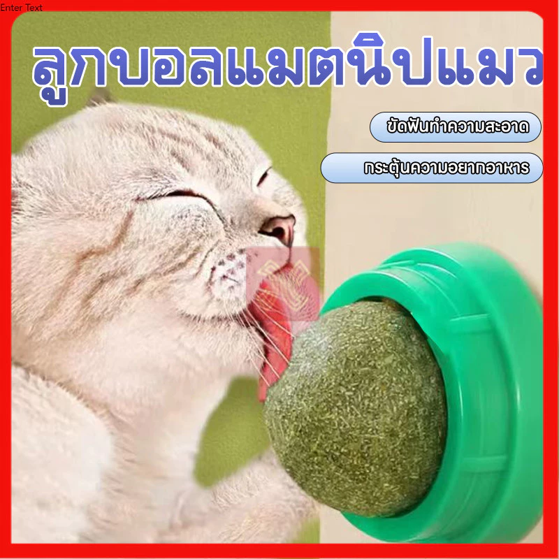 บอลแมวเลียใบแมว แคทนิปบอล บอลแมวเลีย ของเล่นขัดฟันแมวบอลใบแมว ล้างคราบหินปูน ดับกลิ่นปากเหม็น ให้ลมหายใจสดชื่น