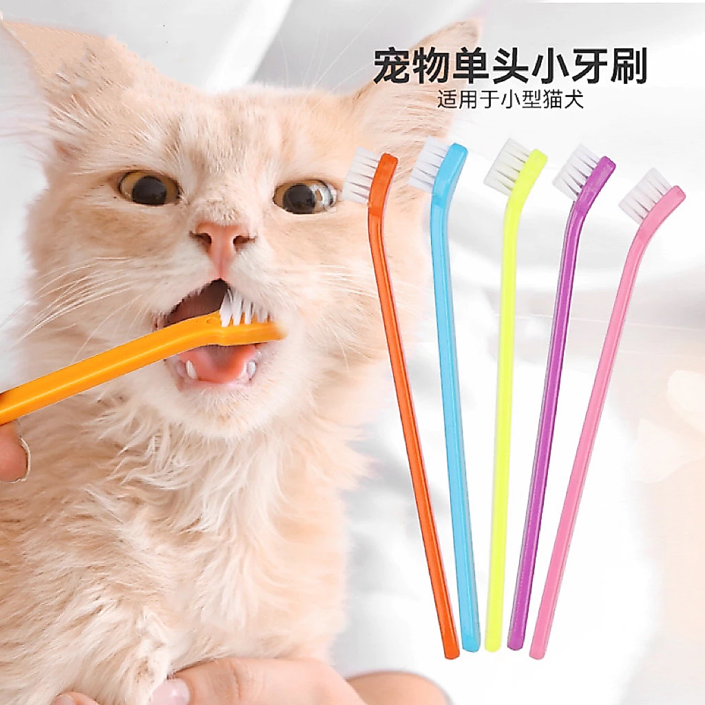 อุปกรณ ์ สําหรับสัตว ์ เลี ้ ยง , แปรงสีฟันสัตว ์ เลี ้ ยง , แปรงสีฟันหัวเดียว , แปรงสีฟันสุนัข , แมว , ผลิตภัณฑ ์ ทําความสะอาดช ่ องปากสําหรับสัตว ์ เลี ้ ยง , ขายส ่ งอุปกรณ ์ ์ ้ — ของมงคลหมวดบ้านและฮวงจุ้ย