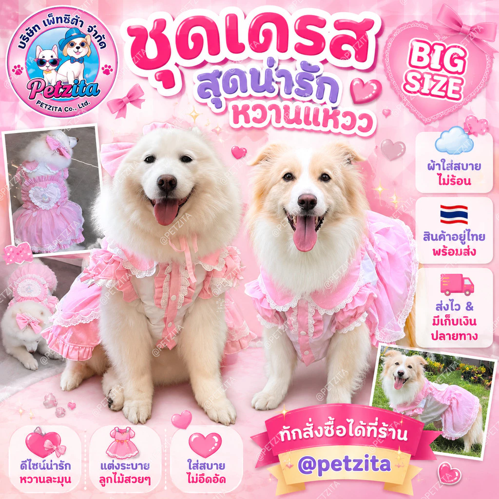 🇹🇭พร้อมส่ง🇹🇭 BIG SIZE👸💗เดรสหมาใหญ่ ชุดเจ้าหญิงสไตล์เมดโลลิต้า เสื้อผ้าสุนัขพันธุ์ใหญ่ หมาใหญ่ สัตว์เลี้ยง หมาอ้วน