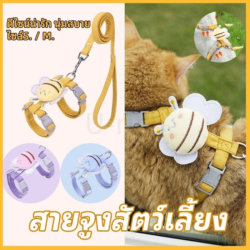 สายจูงขนาดเล็กสำหรับสัตว์เลี้ยง แมว กระต่าย หมา ใช้ได้ รูปร่างผึ้ง มีหลายขนาดให้เลือก สายจูงสัตว์เลี้ยง สายจูงหมา สายจูง