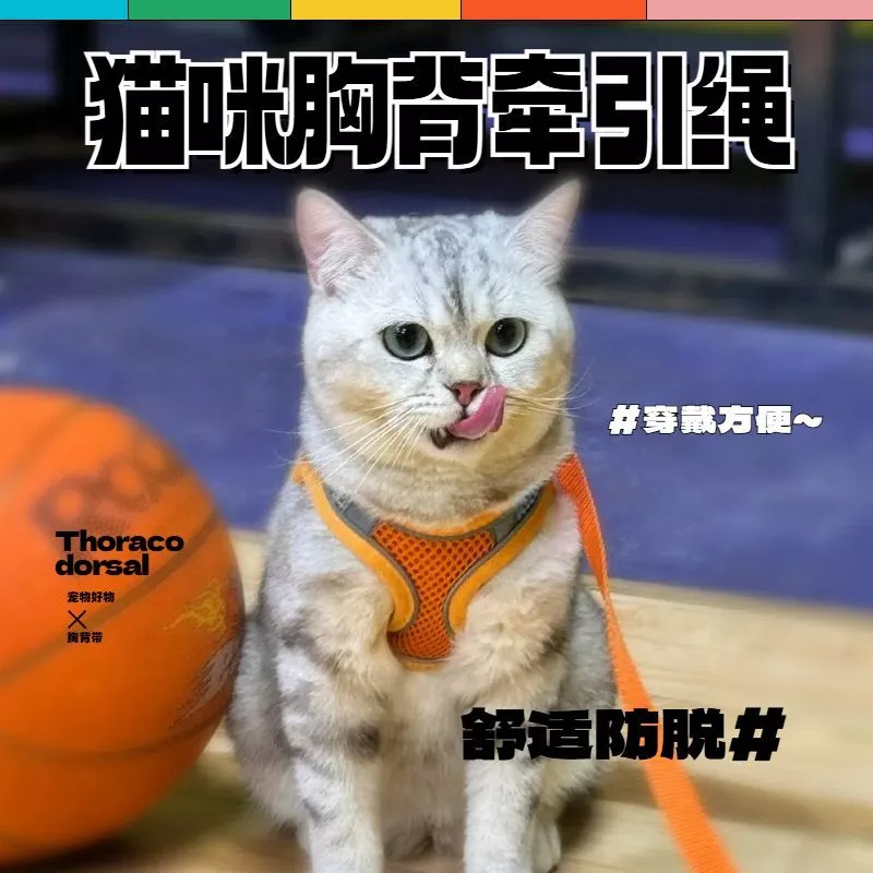 สายจูงแมว petkit สายจูงแมวรัดอก สายจูงแมว ฤดูร้อนแมวเชือกลากยาวป้องกันการแตกหักออกนอกบ้านทุ่มเทเสื้อกั๊กประเภทสายรัดเดินแมวปรับระบายอากาศหน้าอกกลับ