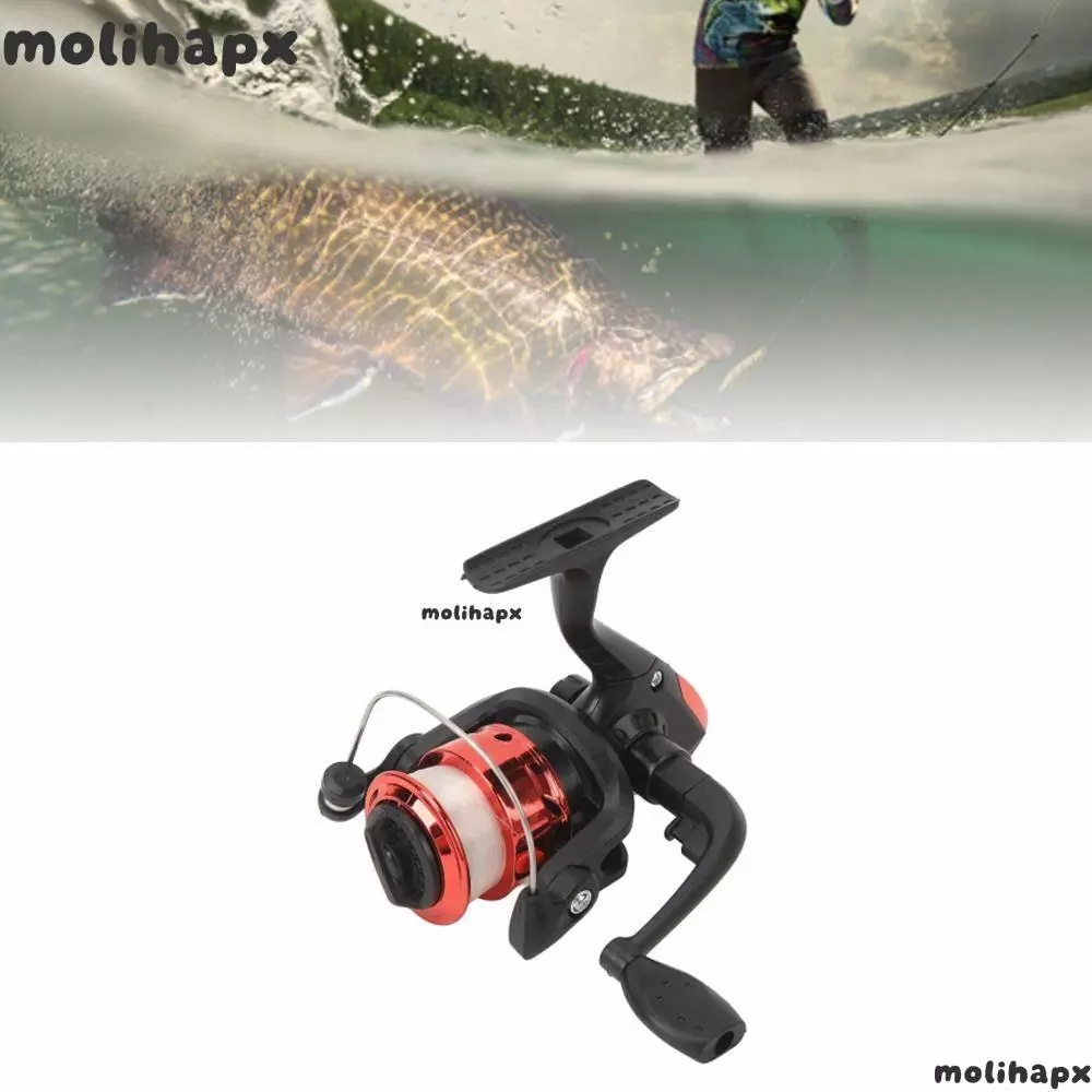 MOLIH Spincasting Fishing Reel, 5.2:1 Gear Ratio Pre-spooled Line Spinning Fishing Reel, ทนทานซ้าย/ขวาเปลี่ยน Handle ปิด-face Fishing Reel Lake Fishing