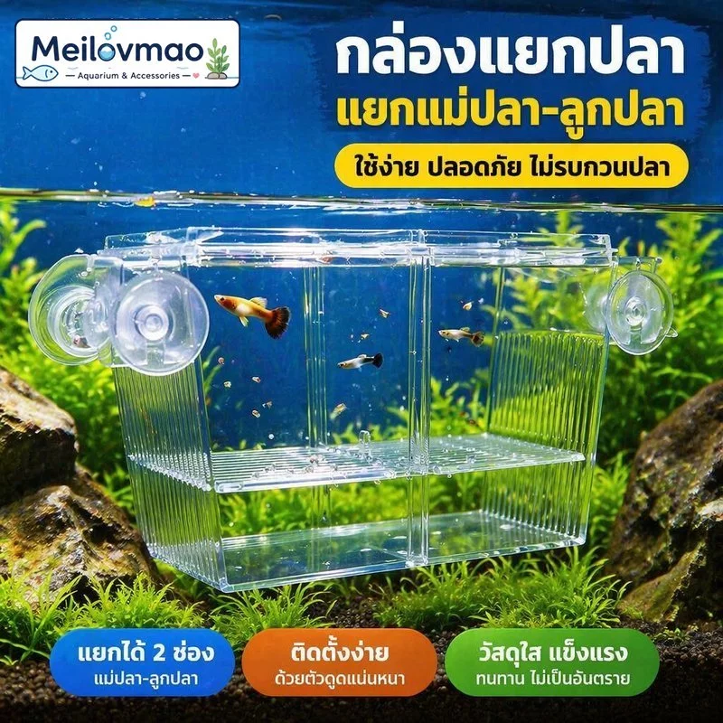 Meilovmao กล่องเพาะพันธุ์ปลา กล่องแยกปลา กล่องฟักปลา แยกแม่ปลา ลูกปลา ตู้กักโรคปลา — ของมงคลหมวดบ้านและฮวงจุ้ย