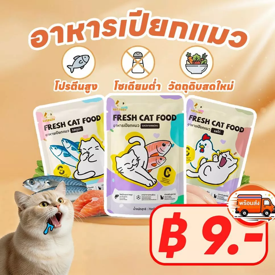 【Ketzuzu】อาหารแมวเปียก อาหารแมว เกรดพรีเมี่ยม ไม่เค็ม ไม่ใส่สารปรุงแต่ง ทุกช่วงวัย 70g