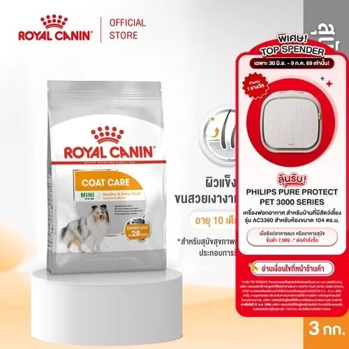 Royal Canin Mini Coat Care 3kg อาหารเม็ดสุนัขโต พันธุ์เล็กดูแลสุขภาพเส้นขน อายุ10เดือนขึ้นไป (Dry Dog Food, โรยัล คานิน)