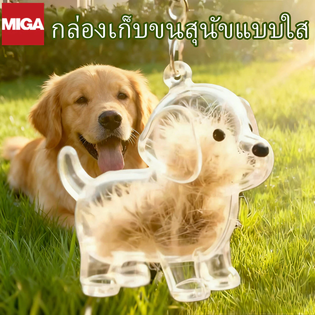 กล่องเก็บขนแมวใส เก็บขนได้จริง จี้อนุสรณ์สัตว์เลี้ยง กาชาปอง จี้ แคปซูล พกพาสะดวก แมวสีส้ม/แมวสามสี/หมาเหลือง/หมาจุด