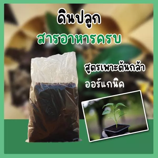 ดินพร้อมปลูก ดินปลูกต้นไม้ ดินปลูก ดินปลูกผัก ดินปลูก ดินหมัก12 — ของมงคลหมวดบ้านและฮวงจุ้ย