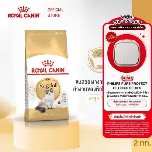Royal Canin Ragdoll Adult 2kg อาหารเม็ดแมวโต พันธุ์แร็กดอลล์ อายุ 1 ปีขึ้นไป (Dry Cat Food, โรยัล คานิน)