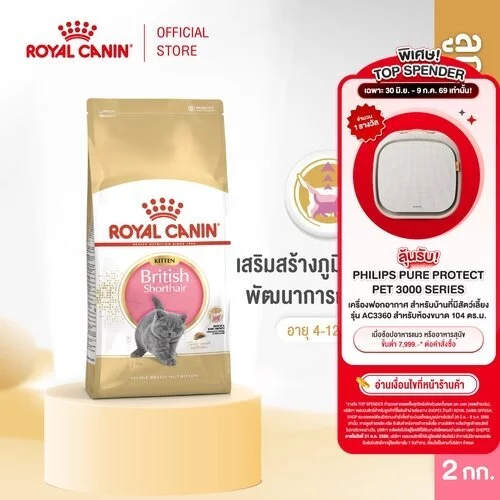 Royal Canin Kitten British Shorthair 2kg อาหารเม็ดลูกแมวพันธุ์บริติช ชอร์ทแฮร์ อายุ4-12เดือน (Dry Cat Food, โรยัล คานิน)