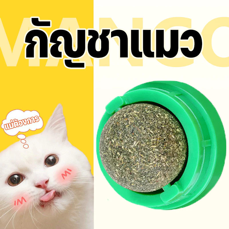 Mango กัญชาแมว หญ้าแมว กันชาแมว กัญชาเเมว แคทนิปแมว catnip ball กันชาแมวส่งฟรี กัชชาแมว กันชาแมวเลีย แคทนิปบอล ติดกำแพง