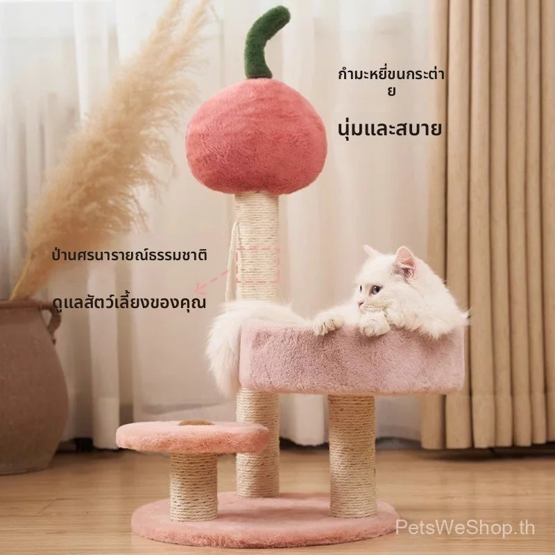 แมวปีนเขากรอบแมวครอกแมวต้นไม้หนึ่งอุปกรณ์แมวขนาดเล็กแมวทาวเวอร์แมวเกาคอลัมน์สี่ฤดูกาลสากล