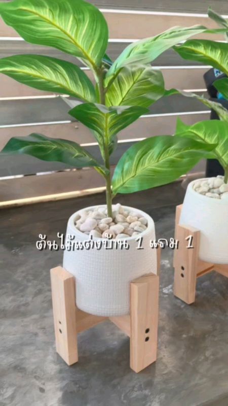 #ต้นไม้ปลอม #ต้นไม้ตกแต่งบ้าน #แต่งบ้าน #ของแต่งห้อง #ของแต่งห้องมินิมอล #ของแต่งบ้าน #แต่งบ้านมินิมอล #MinimalDecor #HomeDecor #ไอเดียแต่งบ้าน