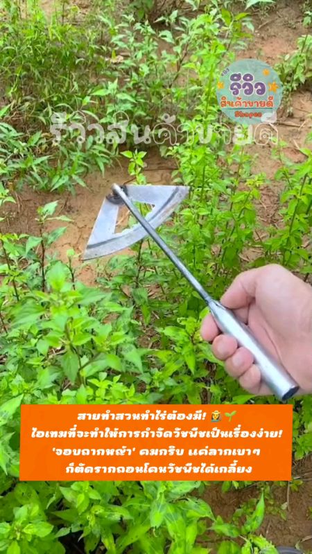 #จอบถากหญ้า #อุปกรณ์ทำสวน #กำจัดวัชพืช #ทำสวน #เกษตร #เครื่องมือเกษตร #ของดีบอกต่อ #ถูกและดี #รีวิวช้อปปี้ #ของปังดังในแอปส้ม#ของเด็ดแอปส้ม