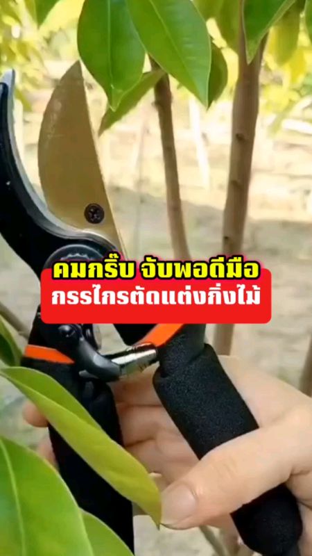 Kéo cắt cành siêu sắc ..🛠️🔥 #kêrcắtcành #kêrcắtcànhcây #kêrcắtnở #tua vít đổi đầu #clip hay kho đánh giá #dụngcụcầmtay #đánhgiá tốt, đánhgiá nổi tiếng