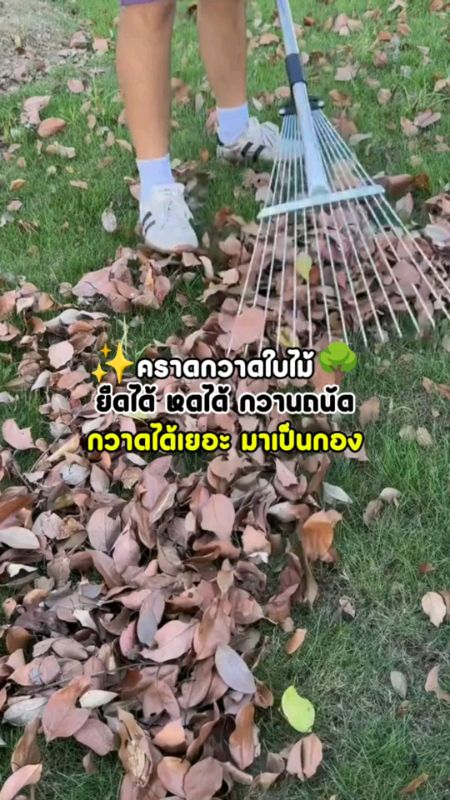 Krad quét lá, quét một lần thành chồng..🌿🌳 #คราด #คราดกวาดใบไม้ #คราดกวาดหญ้า #เครื่องมือทำสวน #อุปกรณ์ทำสวน #รีวิวดีรีวิวดัง #คลิปปังคลังรีวิว