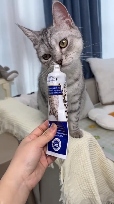 PetClear เจลขจัดก้อนขนแมว ผสมโปรไบโอติก (120g) ลดอาเจียน บำรุงลำไส้ แก้ท้องผูก อาหารเสริม #ป้ายยาบ้านส้ม #ของดี #Shopee