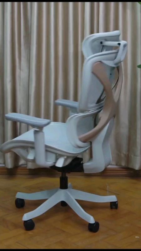 Ergotrend ghế sức khỏe Ergotrend mẫu Cross# củaเด็ดแอปส้ม