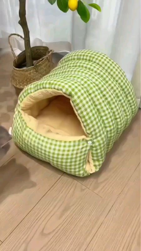 #địa chỉ mèo #túi ngủ mèo #địa chỉ mèo#