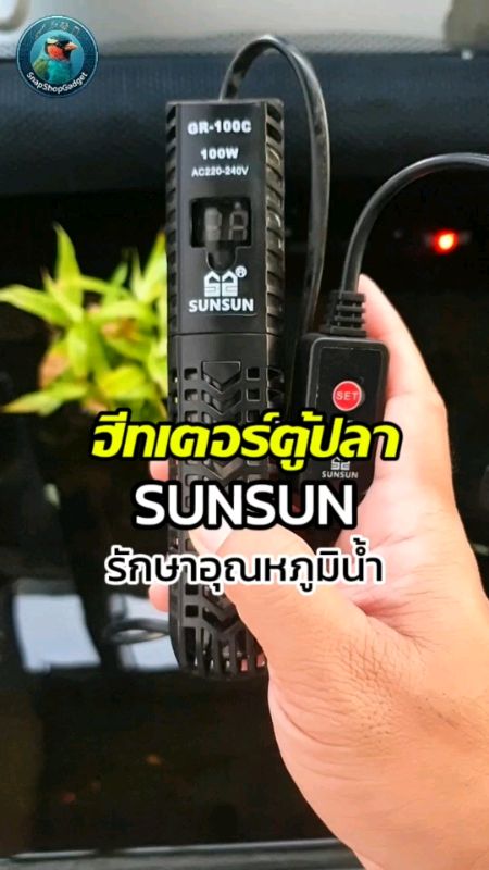 sunsun máy sưởi cho bể cá để kiểm soát nhiệt độ nước #sunsun #máy_sưởi_bể_cá #máy_sưởi_hồ_cá #máy_sưởi_cá #thiết_bị_đun_nhiệt_bể_cá #đồ_dùng_đun_nhiệt_bể_cá