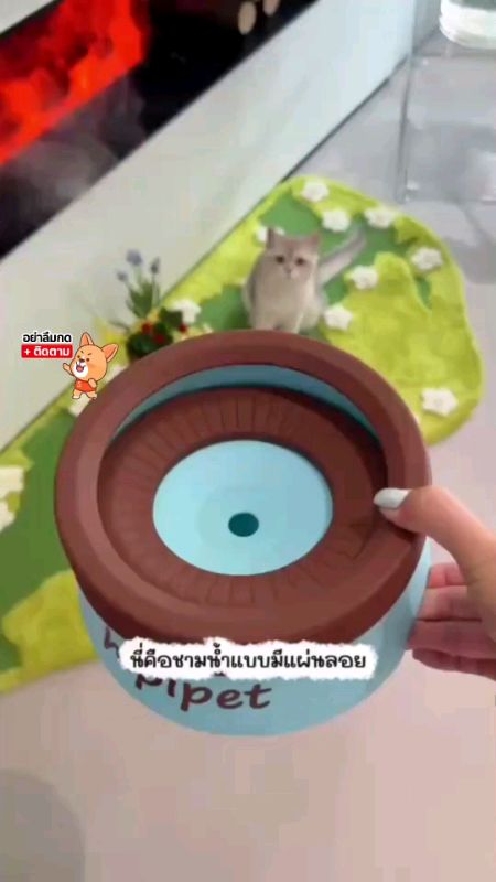 #đồ cho mèo uống nước
#đài nước mèo
#nuôi mèo
#đồ dùng mèo
#đồ tốt chia sẻ
#chia sẻ đồ tốt
#nhãn thuốc App ส้ม
#rẻ nhất tại Shopee
#Shopee chắc chắn rẻ
#rẻ nhất tại Shopee
#dùng tốt
