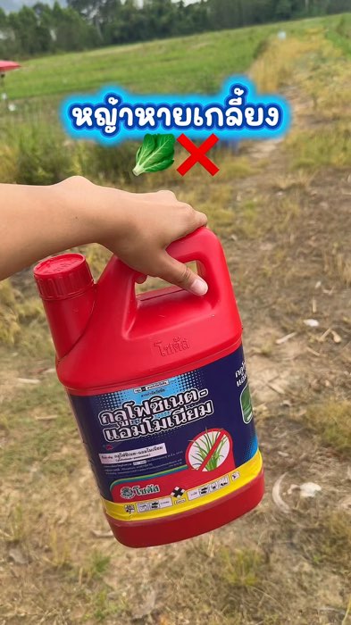 #thuốcdiệtcỏ #glufosinate #amoni #SOTAS #chấtdiệtcỏ #thuốcdiệtcỏSOTAS #thuốcdiệtcỏlá rộng #lá hẹp #nông nghiệp #vườn #reviewnông nghiệp