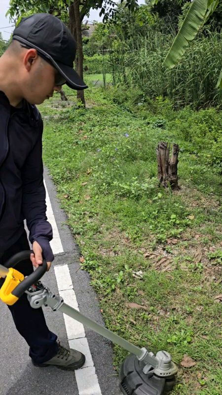 Cây cắt cỏ dewalt #cắcnỏ #dewalt