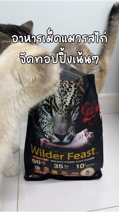อาหารน้องแมวรสไก่ สูตรGrain free ที่ทอปปิ้งฟรีซดรายเน้นๆ #อาหารแมว #แมว #อาหารเม็ดแมว