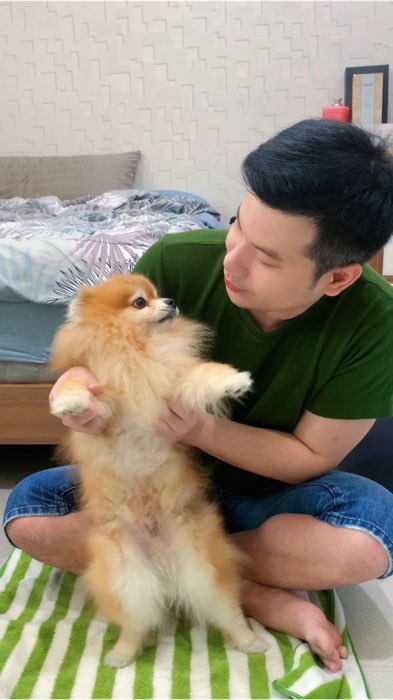 #สเปรย์เห็บหมัด #สัตว์เลี้ยง #ดูแลสัตว์เลี้ยง #เห็บหมัด #ใช้ดีบอกต่อ #ของมันต้องมี