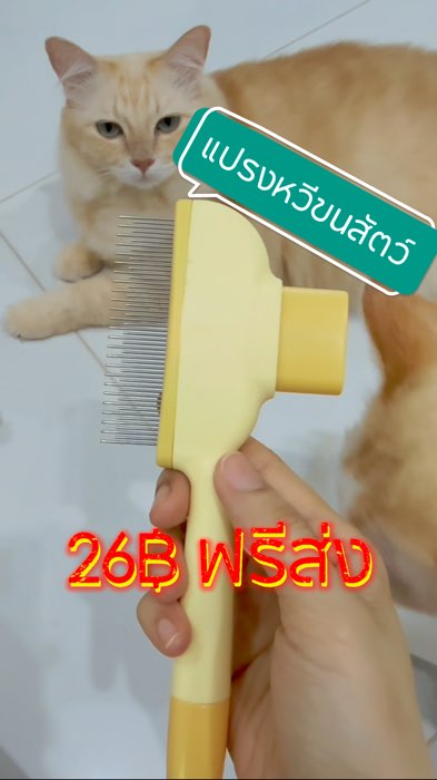 แปรงหวีขนแมวราคาถูก #แปรงขนแมว  #หวีแมว #แปรงหวีขนแมว #แปรงหวีขนสัตว์ #ดูแลสัตว์เลี้ยง  #ลดการเกิดก้อนขน #ShopeeVideo #ช้อปปี้ป้ายยา #Shopee