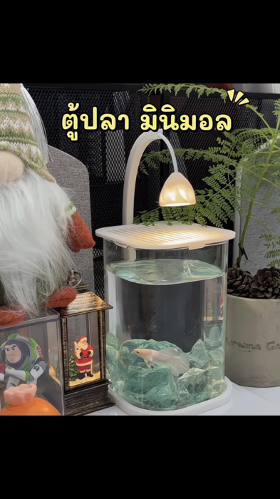 #￼ตู้ปลา #ตู้ปลาขนาดเล็ก #ตู้ปลาสีใส มองเห็นรอบด้าน #ตู้ปลามีโคมไฟแสงวอร์ม #ตู้ปลาสไตล์มินิมอล