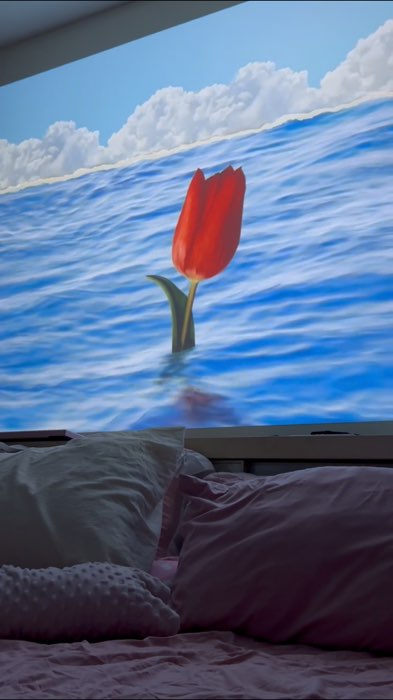Có #โปรเจคเตอร์ là người bạn trong phòng 🛋️ #ShopeeVideo #ShopeeTH #ShopeeVideoTH #ช้อปปี้ป้ายยา #ป้ายยาของดี #ร้านเด็ดแอปส้ม #ของปังดังในแอปส้ม #projector