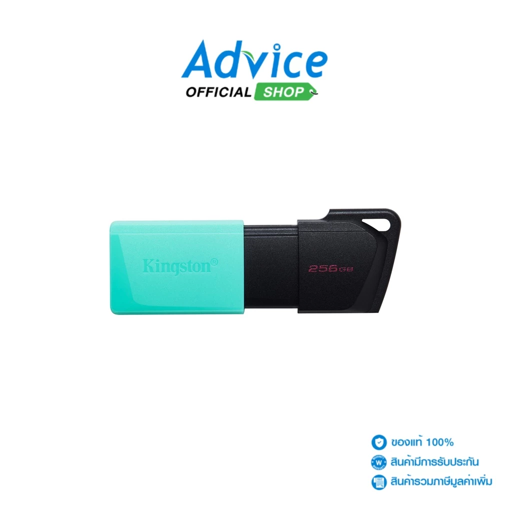 KINGSTON 256GB Flash Drive (DTXM) USB 3.2 - A0144356