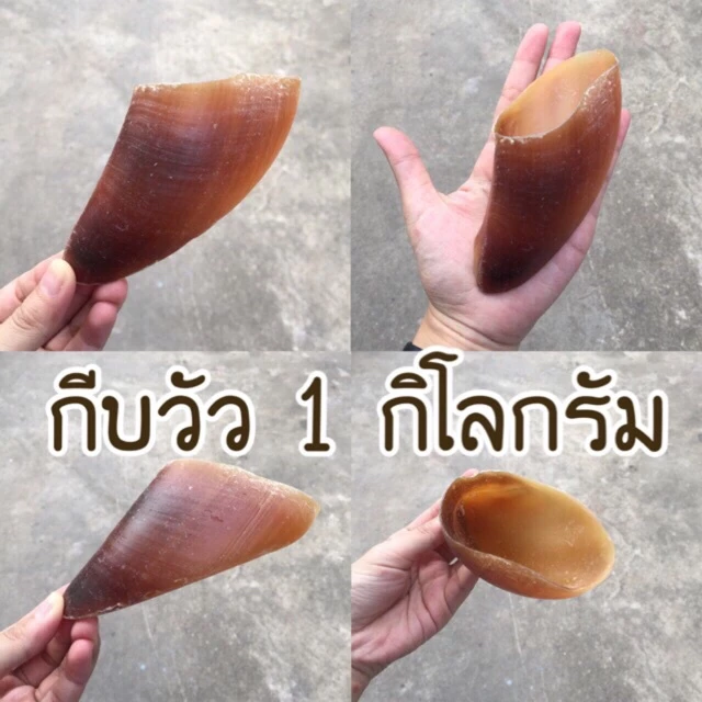 ขนมขัดฟัน กีบวัว 1 กิโลกรัม สำหรับน้องหมา ขนมขัดฟันสำหรับสุนัข ลดการกัดแทะทำลายสิ่งของ ขัดฟันสำหรับสุนัข ขัดฟันน้องหมา