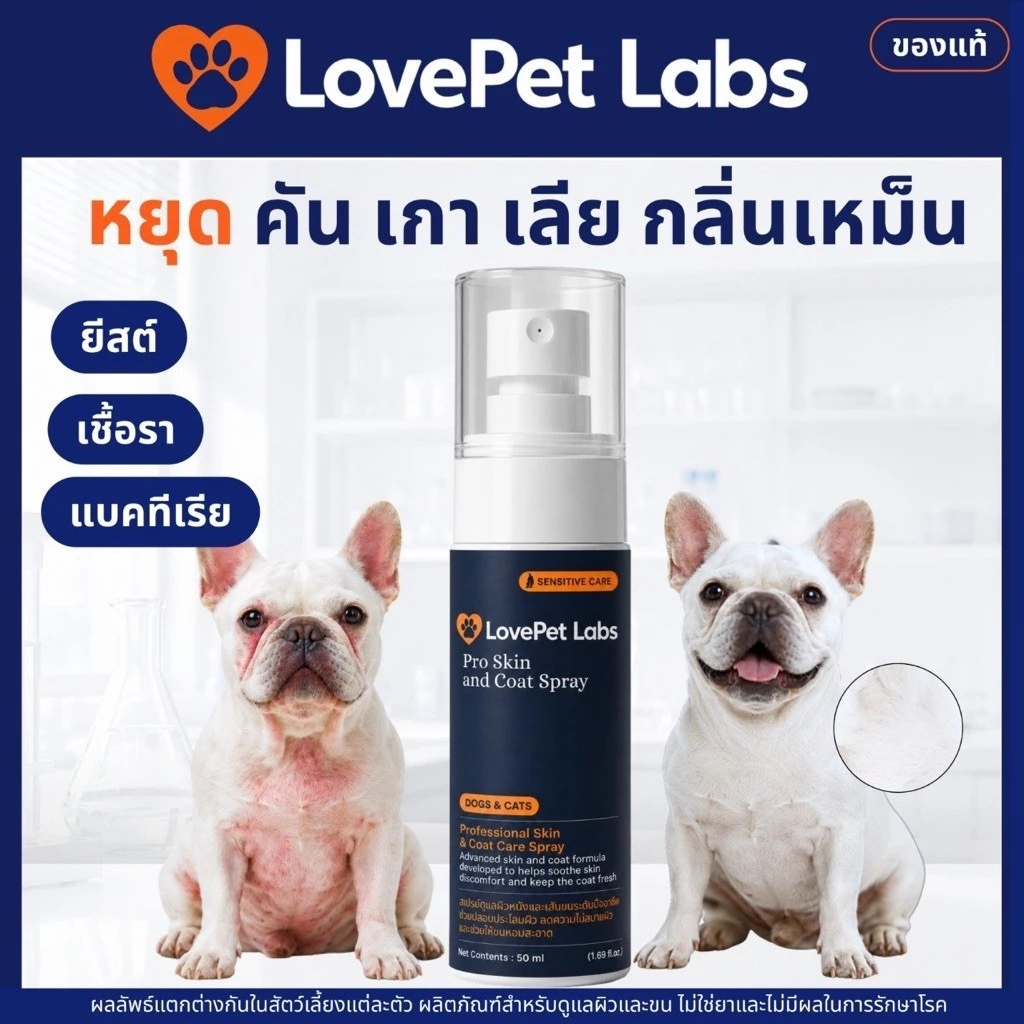 สเปรย์เชื้อราแมว สุนัข LovePet Labs สเปรย์ผิวหนัง แก้คัน ยีสต์ ขี้เรื้อน ผื่นแดง กลิ่นตัว สูตรนาโน 50 มล. 1 ขวด