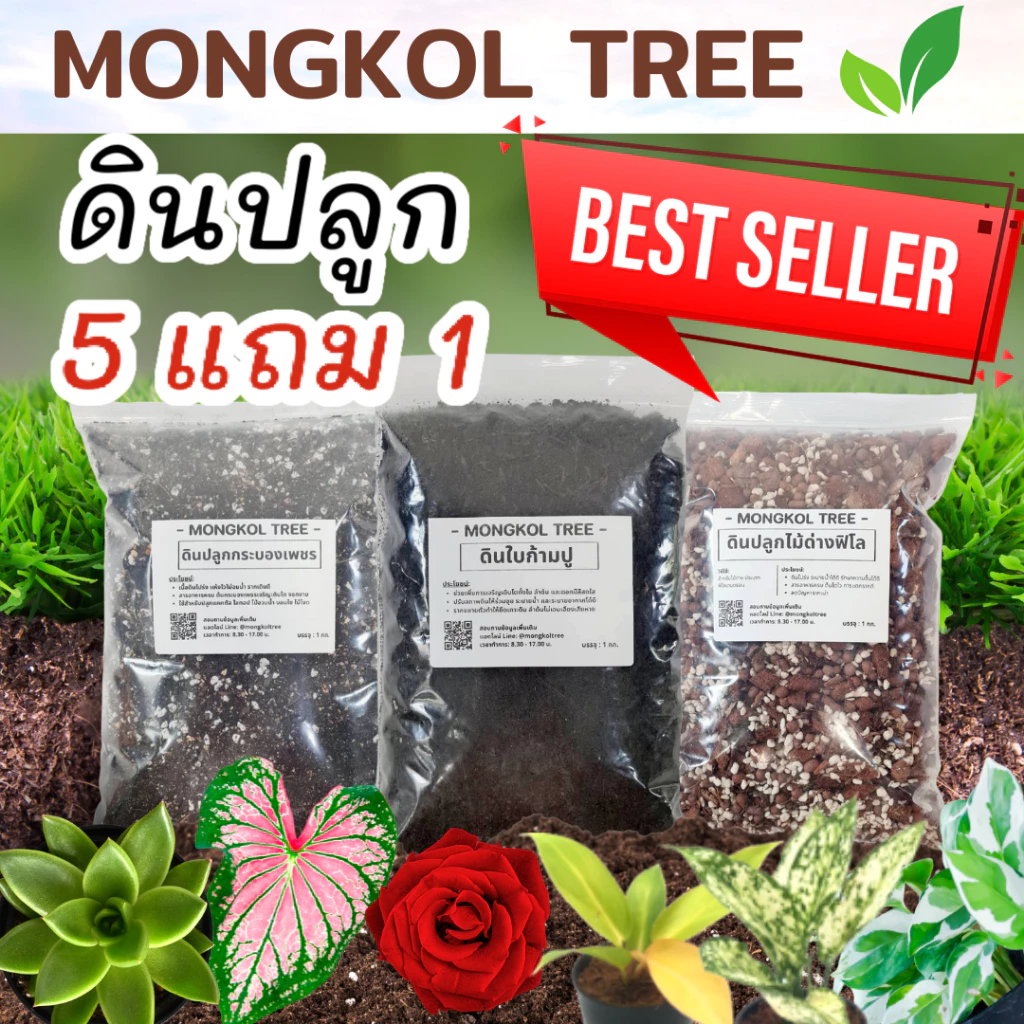 5 แถม 1🔥ดินพร้อมปลูก 1 กก. ดินปลูกแคคตัส ดินปลูกผักสวนครัว ดินปลูกกุหลาบ เร่งดอก เร่งราก ดินปลูกไม้ด่าง ดินปลูกต้นไม้ — ของมงคลหมวดบ้านและฮวงจุ้ย