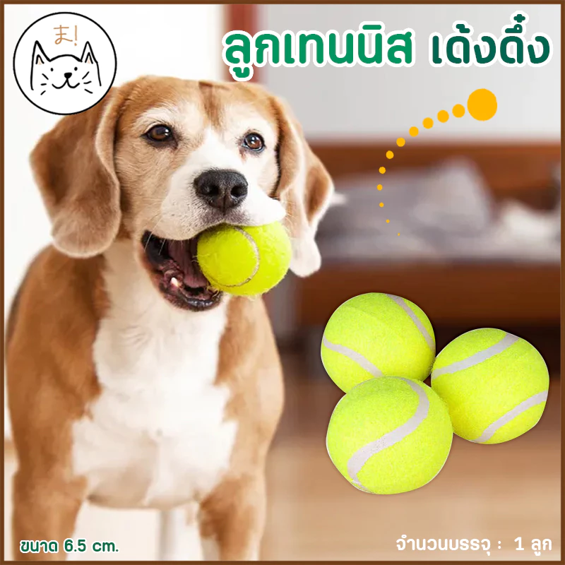 KUMA まลูกเทนนิส เด้งดึ๋ง บอลสุนัข บอลแมว ลูกบอล ของเล่นแมว หมา บอลหมา บอลสัตว์เลี้ยง