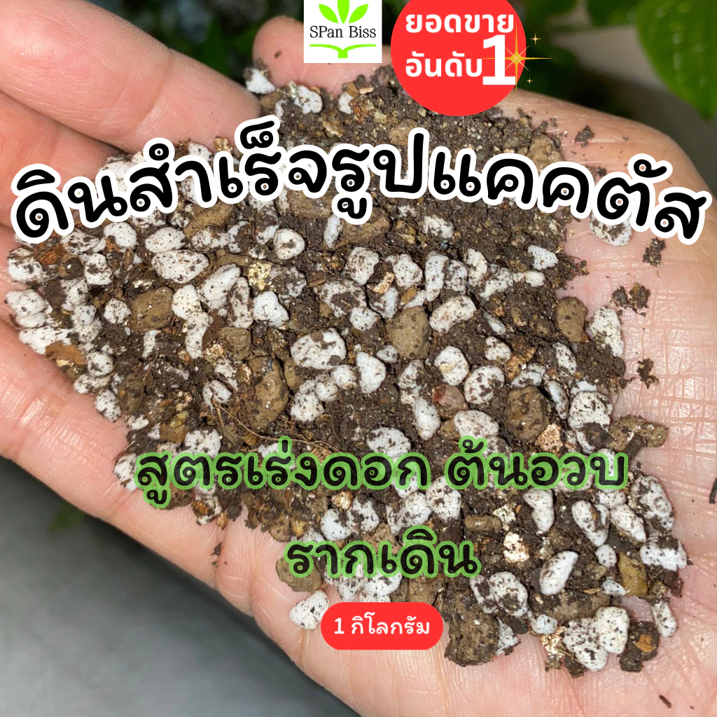 Flash sale ส่งด่วน ถูก 1กก. ดินแคคตัส ดินปลูกแคคตัส ดินพร้อมปลูก ดินปลูกกระบองเพชร ดินปลูกไม้อวบน้ำ ดินผสมสำเร็จ — ของมงคลหมวดบ้านและฮวงจุ้ย