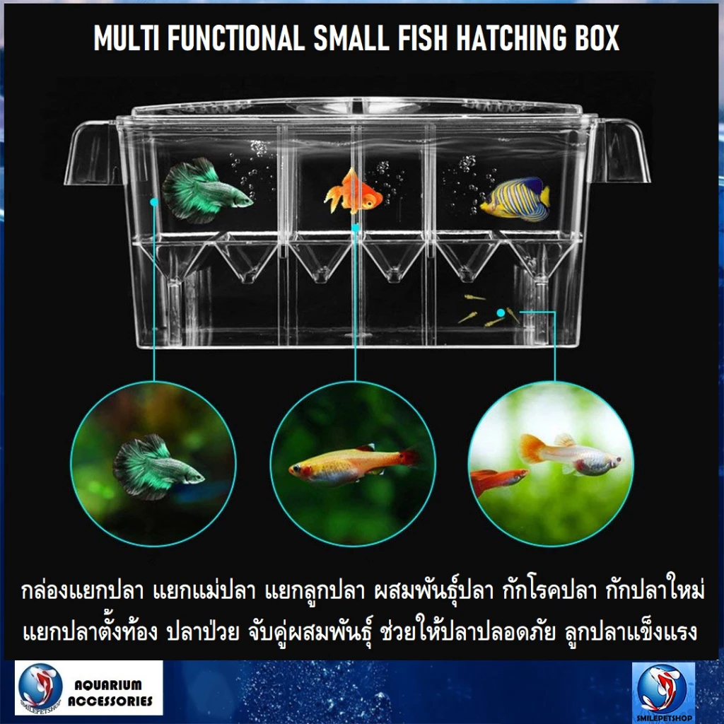 MULTI FUNCTINAL FISH HATCHING BOX(กล่องแยกปลา กล่องฟักปลา ผสมพันธุ์ปลา แยกแม่ปลาและลูกปลา กักโรคปลา ช่วยให้ปลาปลอดภัย) — ของมงคลหมวดบ้านและฮวงจุ้ย