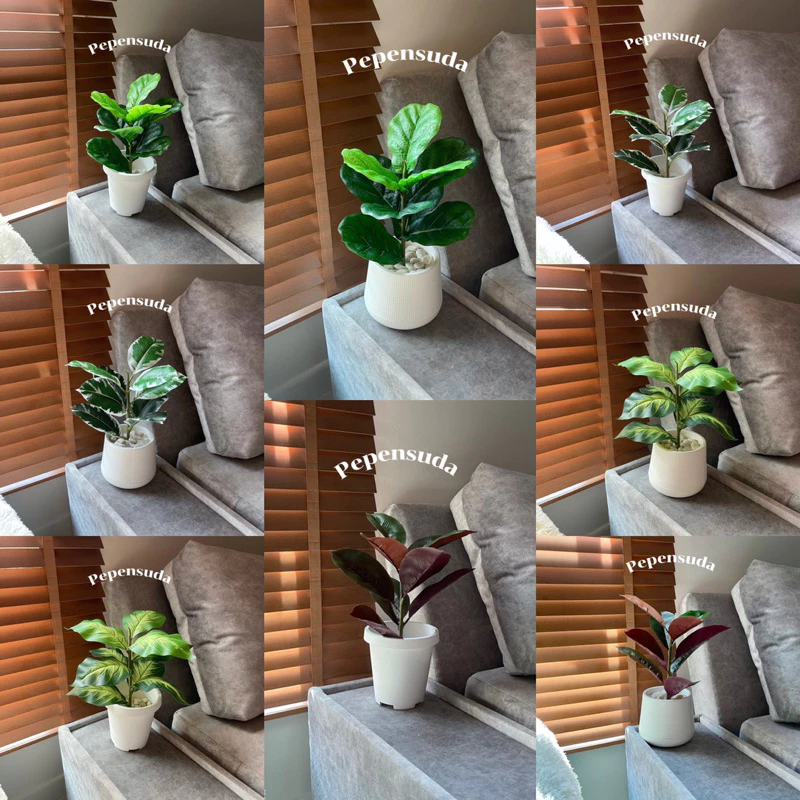 🌿🌿ต้นไม้เสมือนจริงยอดนิยม+กระถาง+หิน🌿🌿ต้นไม้ปลอมมินิมอลสูง 45 ซม. รุ่นตั้งโต๊ะ ((พร้อมส่ง)) ราคาถูกมินิมอลน่ารักสุดๆ 💕