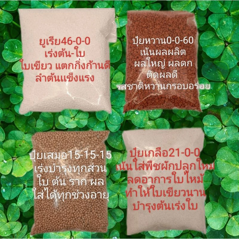 ปุ๋ยบำรุงผัก(ขนาด500g) ปุ๋ยบำรุงต้นไม้ ปุ๋ย15-15-15 ปุ๋ยยูเรีย46-0-0 ปุ๋ยหวาน0-0-60 ปุ๋ยเกลือ21-0-0 ปุ๋ยแบ่งขาย — ของมงคลหมวดบ้านและฮวงจุ้ย