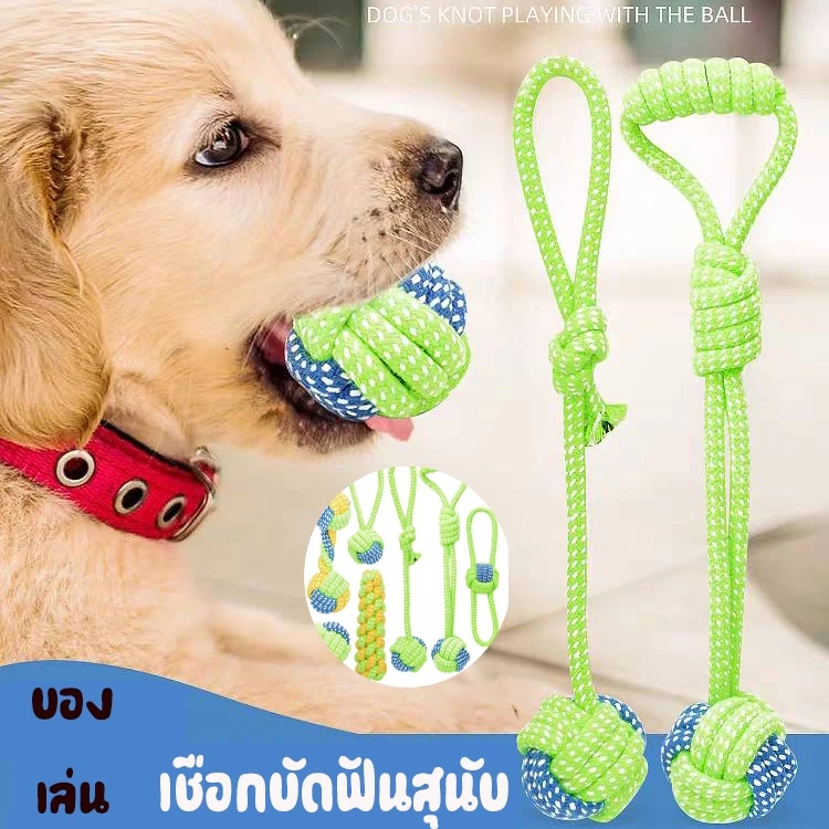 ของเล่นสุนัข เชือกกัดสุนัข เชือกกัดสำหรับหมา เชือกกัดสำหรับหมา แบบเซตสีเขียว