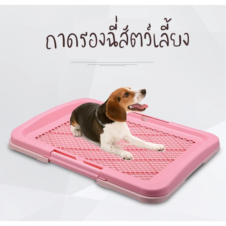 จัดส่งจากกรุงเทพ ห้องน้ำสุนัข มีเสาถอดได้ พร้อมเสา ถาดฉี่สุนัข ห้องน้ำหมา ถาดรองฉี่หมา