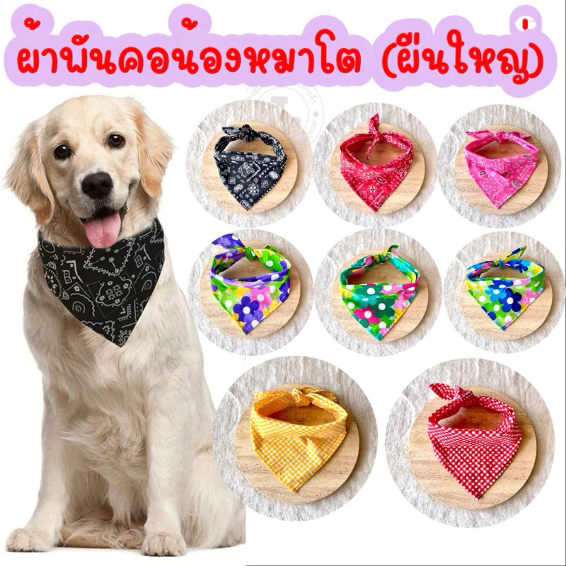 (A1)(ขนาด 43x65x43)ผ้าพันคอน้องหมาขนาดใหญ่ ผ้าพันคอแบบผูก สำหรับน้องหมาตัวโต