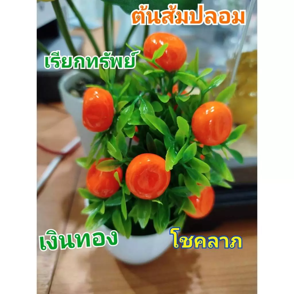 ต้นส้ม ต้นส้มมงคล ขนาด 18 ซม. ต้นส้มจี๊ดรวมกระถาง พร้อมส่งจากไทย 🍊พร้อมส่ง🍊ต้นส้มปลอม เรียกทรัพย์ เสริมฮวงจุ้ย ต้นไม้มงค — ของมงคลหมวดบ้านและฮวงจุ้ย