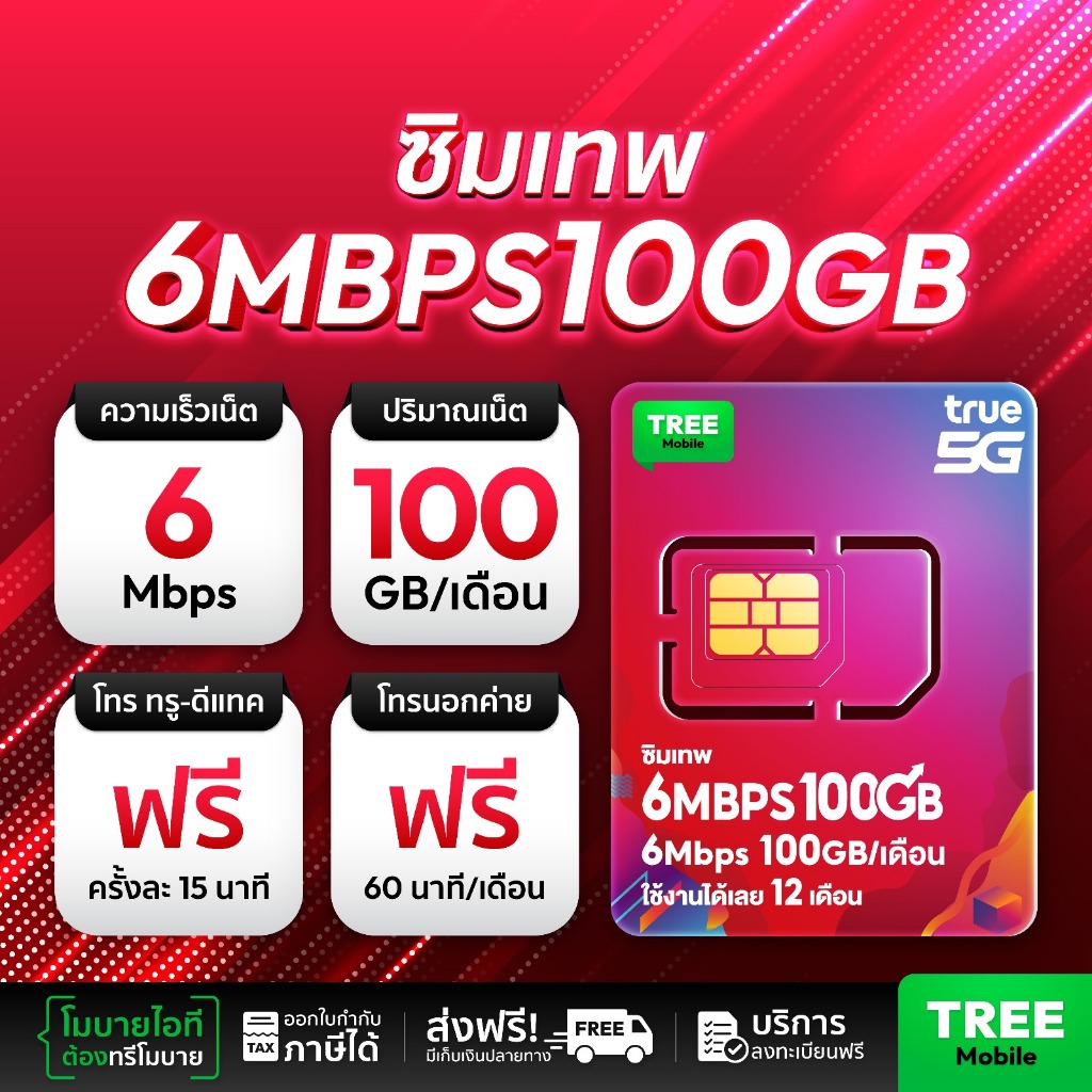 True - 6Mbps 100GB