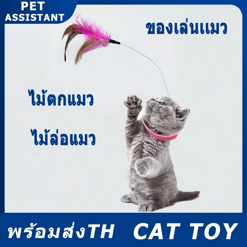 ของเล่นเเมว ไม้ตกแมว ไม้ล่อแมว ไม้ตกแมว ไม้ตกแมวแบบสปริง Cat toy ขนนก แบบปุ่มดูดสุญญากาศ ไม้ตกแมว ไม้แหย่แมว สําหรับแมว