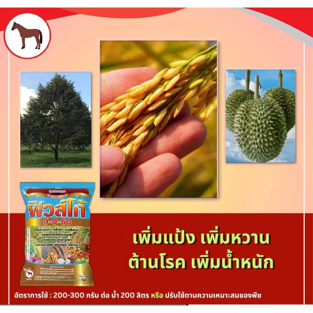 ปุ๋ยฟิวส์โก้ 0-0-60 ขนาด กิโล ปุ๋ยฟิวโก้ ปุ๋ยเกล็ด ปุ๋ยเกล็ดทางใบ ปุ๋ยใส่ข้าว ปุ๋ยเพิ่มแป้ง ปุ๋ยชาลีเฟรท ปุ๋ยชาลี — ของมงคลหมวดบ้านและฮวงจุ้ย