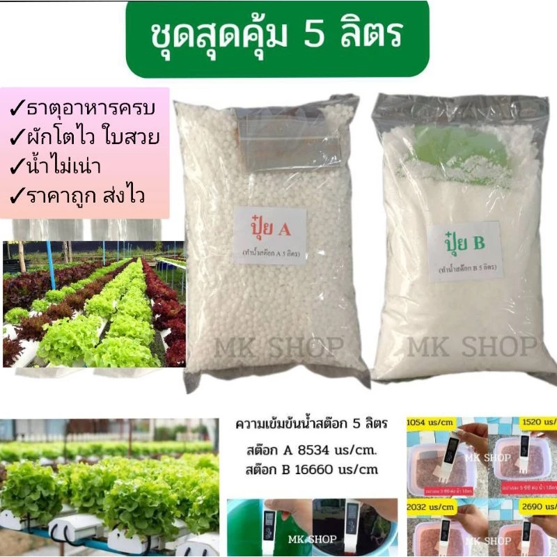 **5ลิตร**ชุดปุ๋ยผงเอบี ปุ๋ยไฮโดรโปนิกส์ ปุ๋ยAB ปุ๋ยน้ำ ปุ๋ยเอบี ปุ๋ยผักสลัด ปุ๋ยผักHydroponics สูตรปรับปรุงใหม่ — ของมงคลหมวดบ้านและฮวงจุ้ย