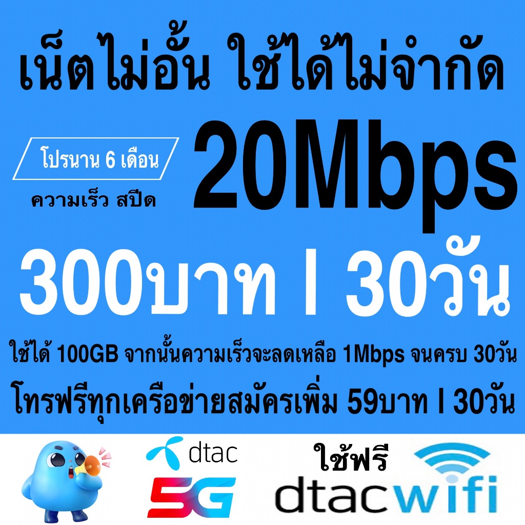 20Mbps (100GB)